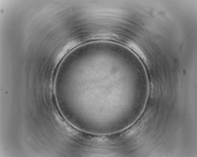 X0000089930994200706291153