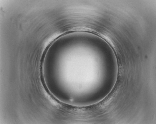 X0000089930995200706291153