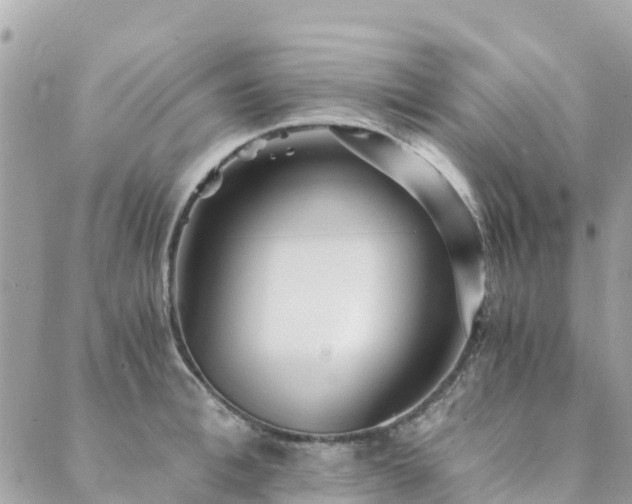 X0000089930996200706291153