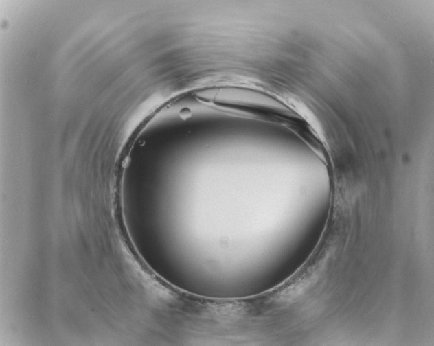 X0000089930997200706291153