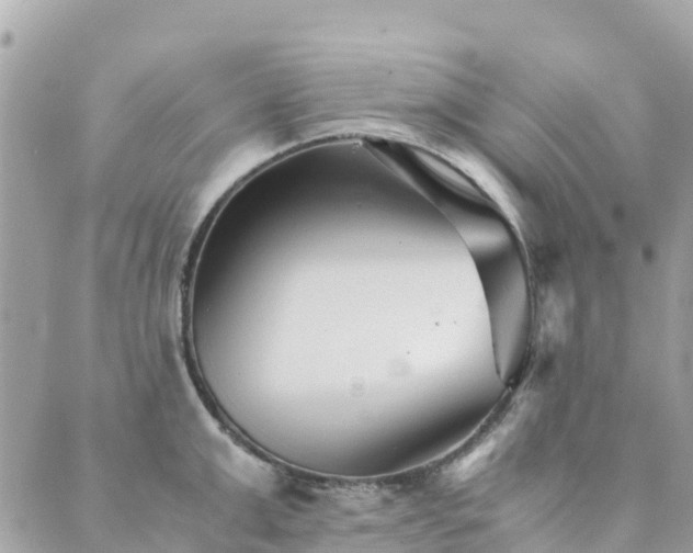 X0000089930999200706291153