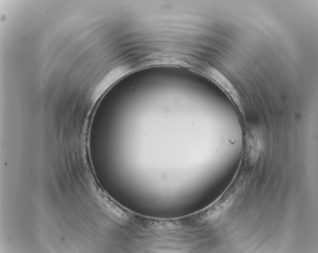 X0000089931002200706291153