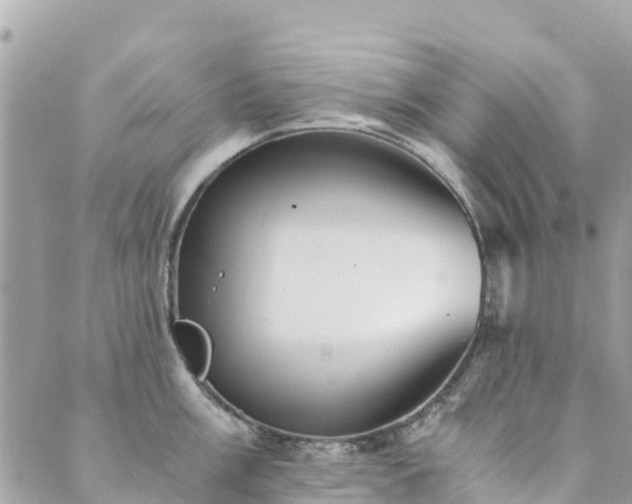 X0000089931003200706291153