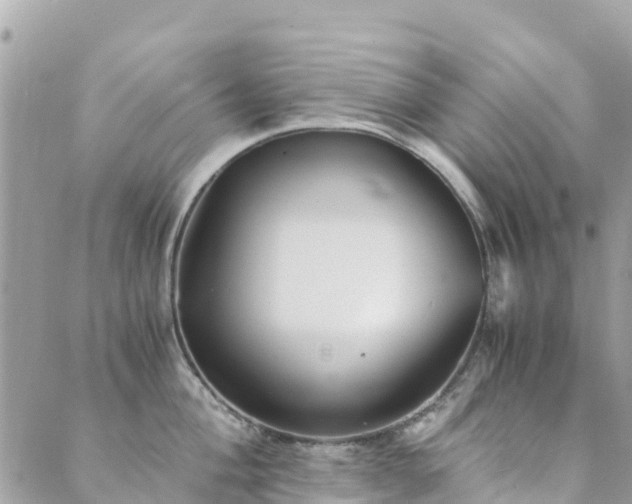 X0000089931004200706291153