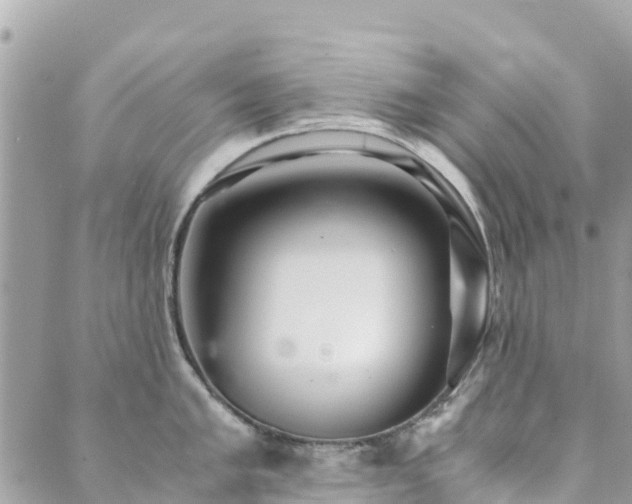 X0000089931005200706291153