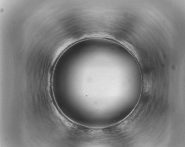 X0000089931006200706291153