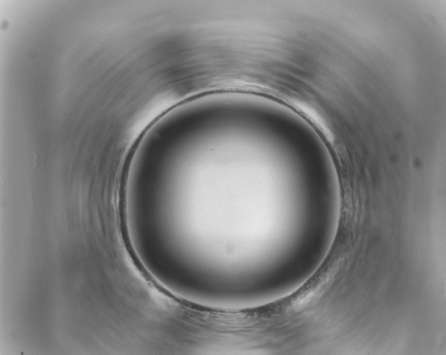 X0000089931007200706291153