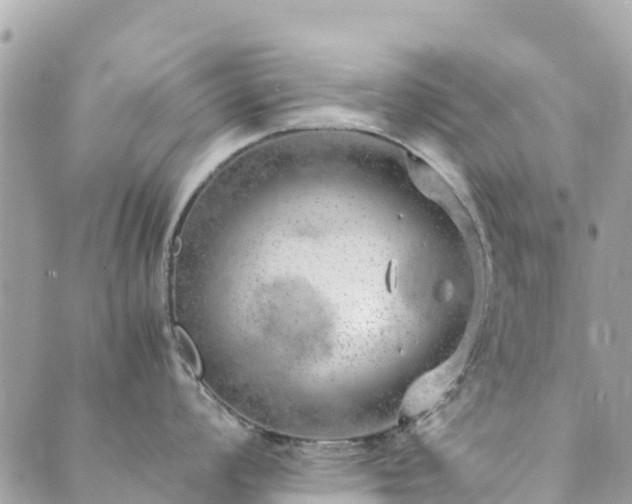 X0000089931008200706291153