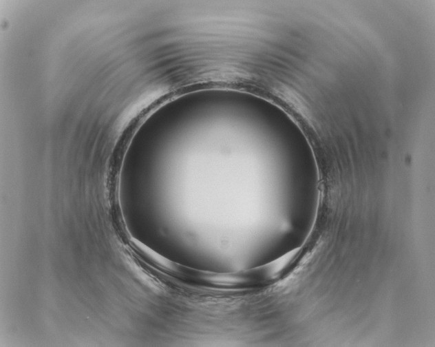 X0000089931026200706291152