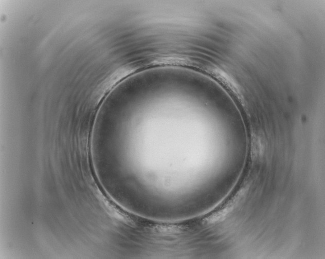 X0000089931041200706291153