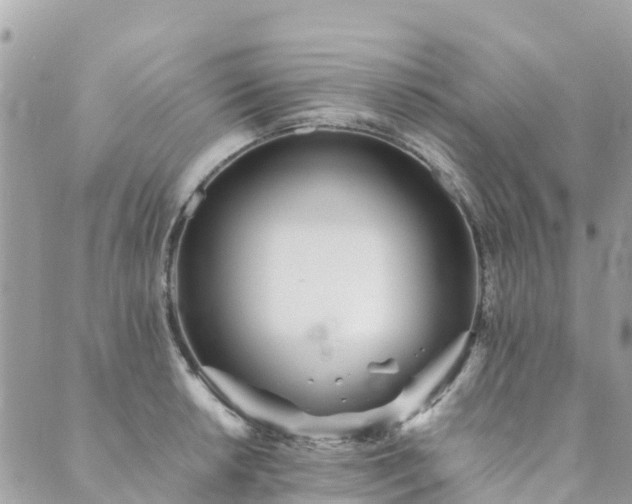 X0000089931042200706291153