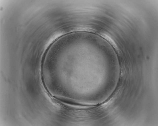 X0000089931043200706291153