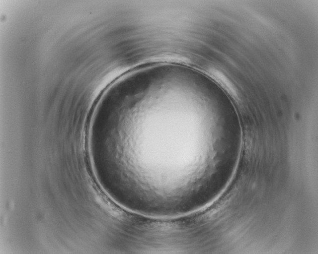 X0000089931044200706291153