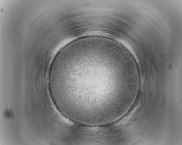 X0000089931045200706291153