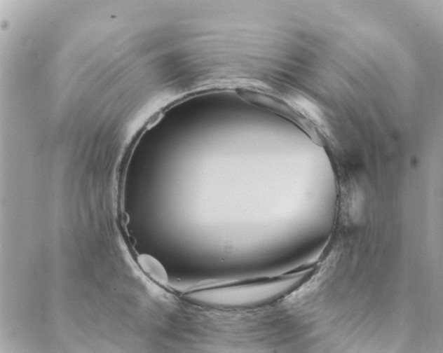 X0000089931046200706291153