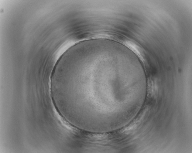 X0000089931047200706291153