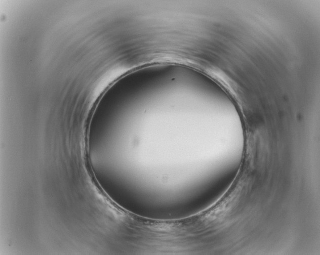 X0000089931048200706291153