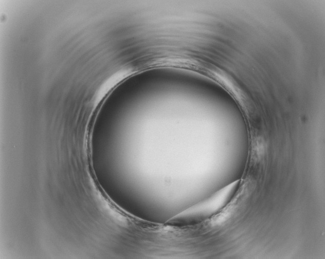 X0000089931050200706291153