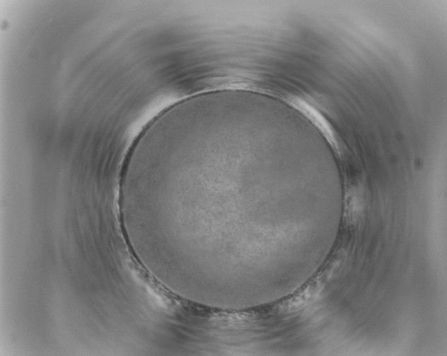 X0000089931051200706291153