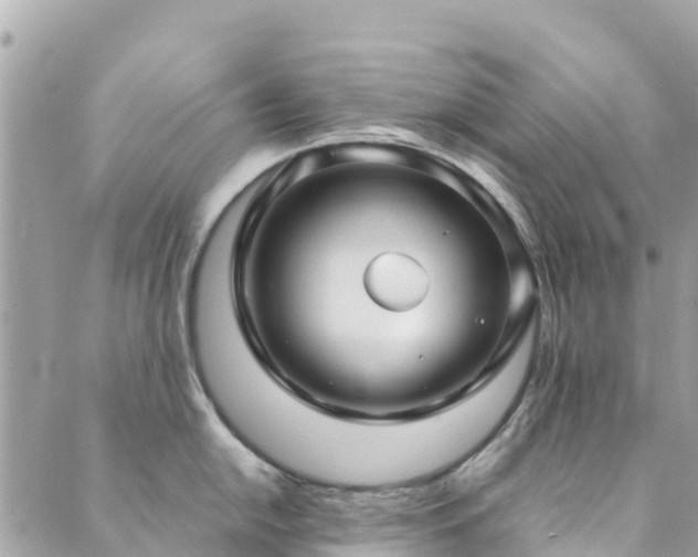 X0000089931054200706291153