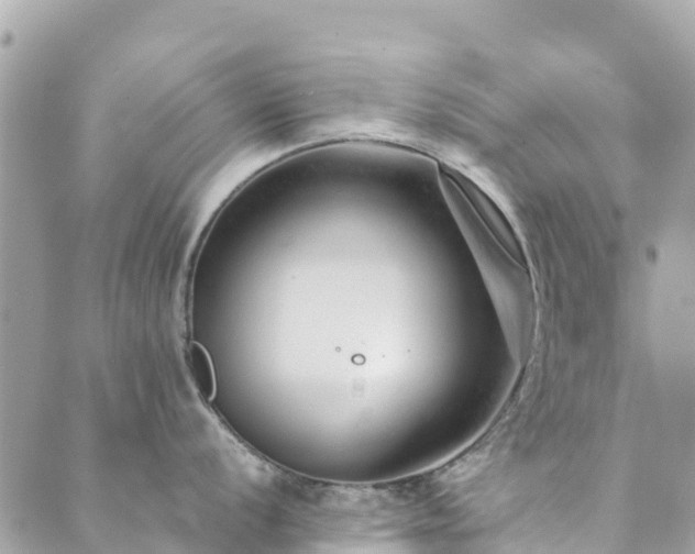 X0000089931056200706291153