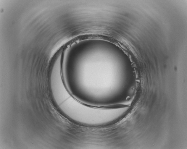 X0000089931069200706291152