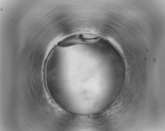 X0000089931104200706291151