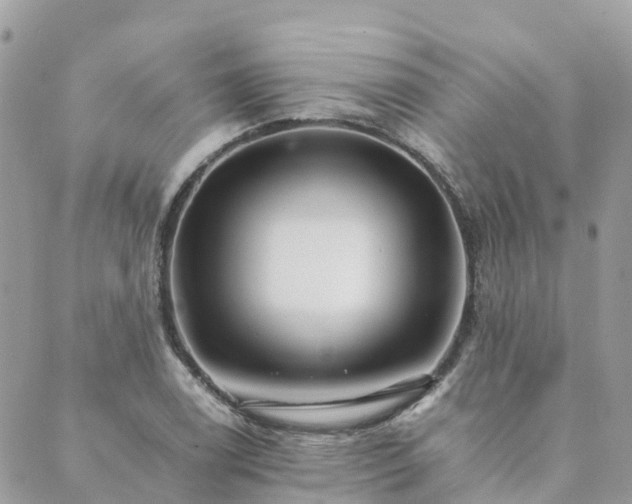 X0000089931122200706291151