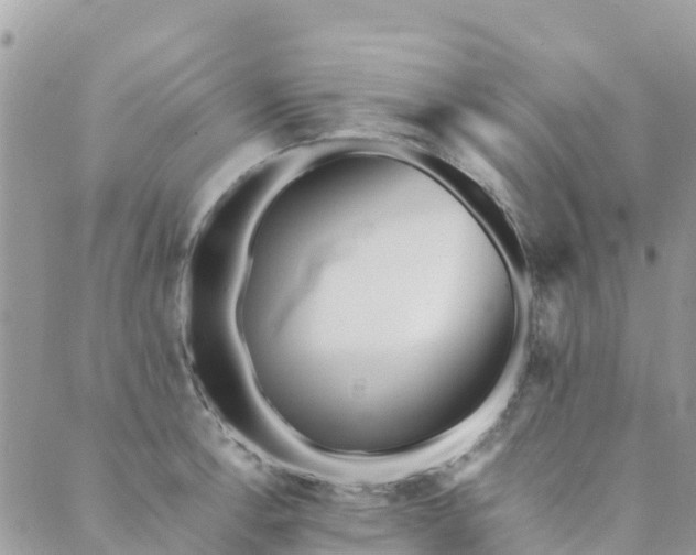 X0000089931138200706291151