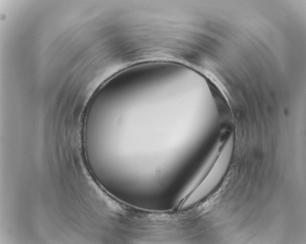 X0000089931142200706291151