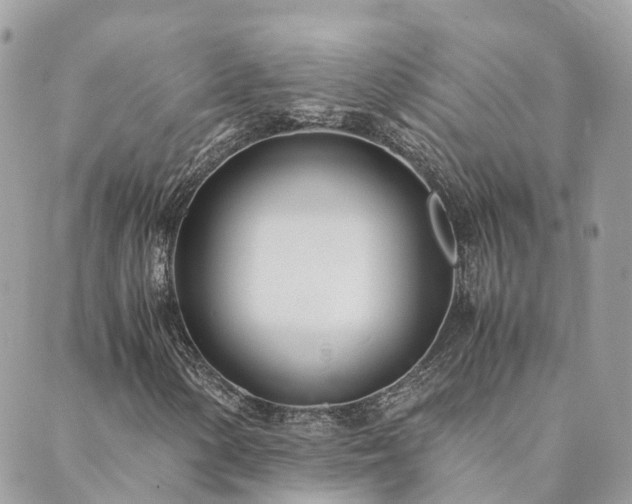 X0000089931154200706291150