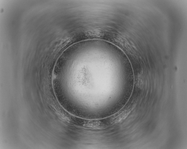 X0000089931201200706291149