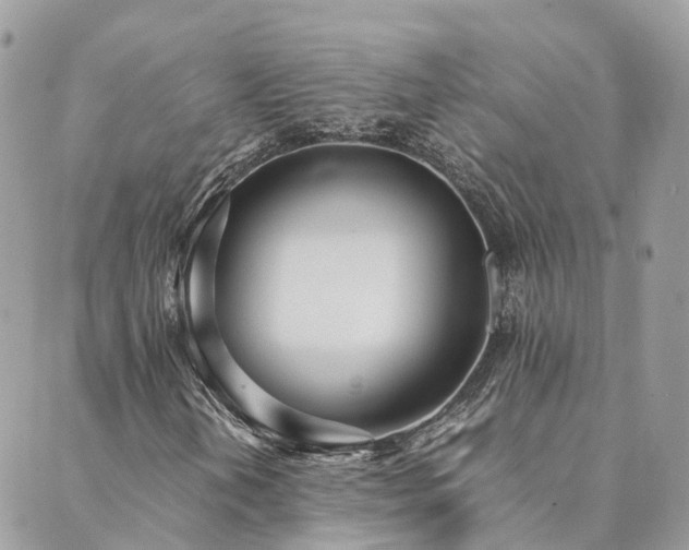 X0000089931202200706291149