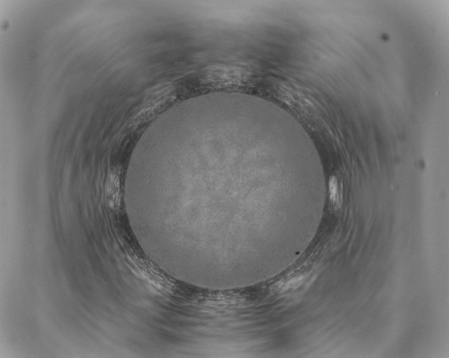 X0000089931203200706291149