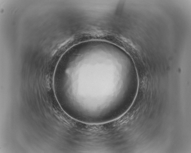 X0000089931205200706291149