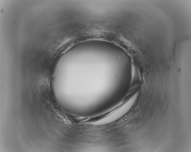 X0000089931206200706291149