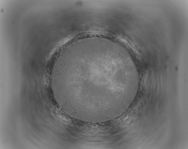 X0000089931207200706291149