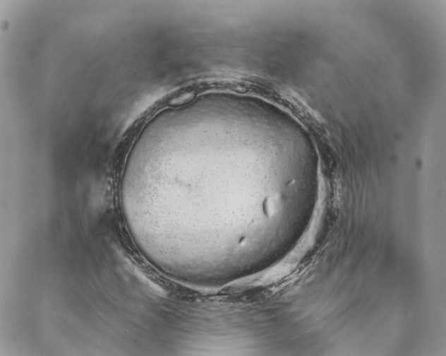 X0000089931208200706291149