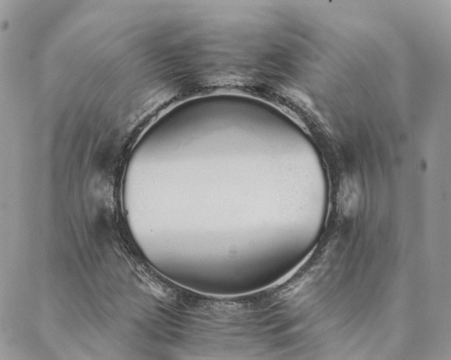 X0000089931209200706291149