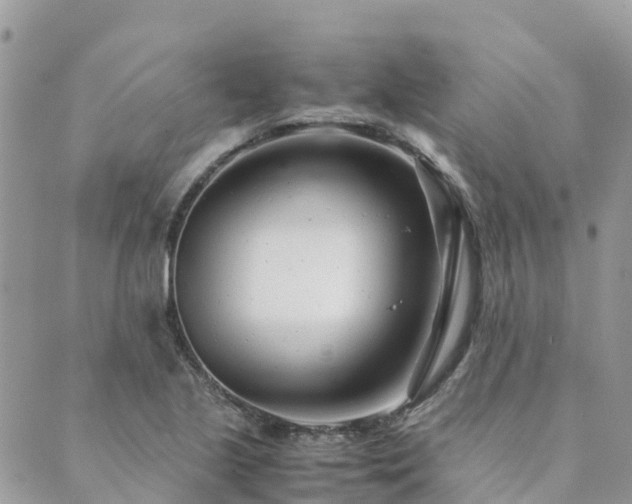 X0000089931221200706291149