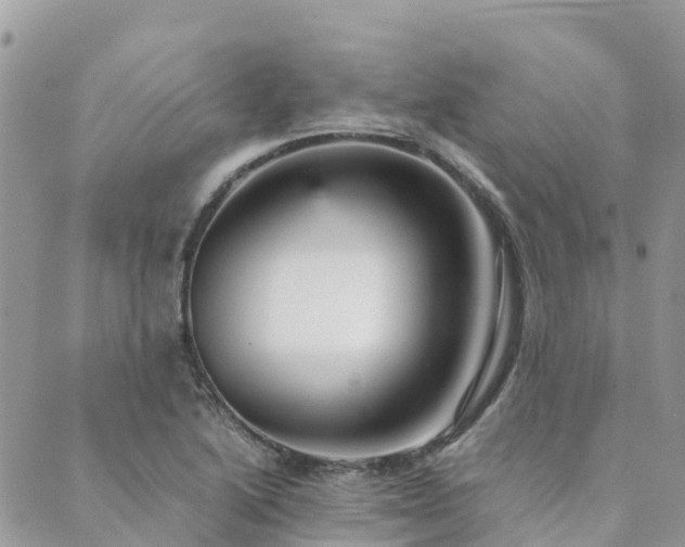 X0000089931222200706291149