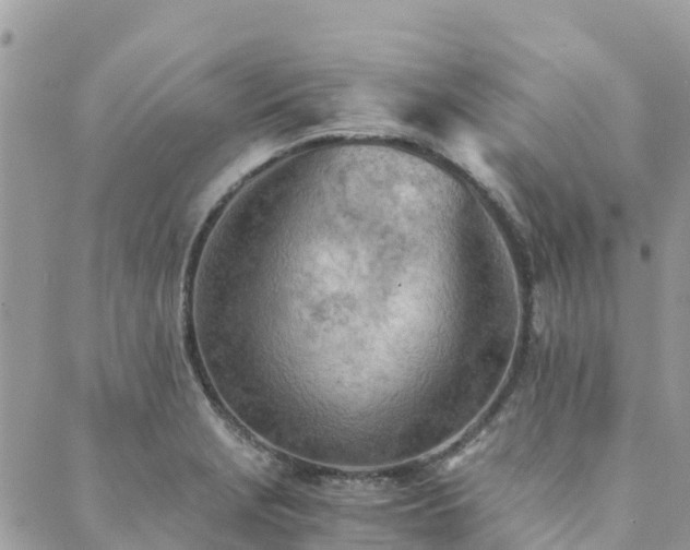 X0000089931229200706291149