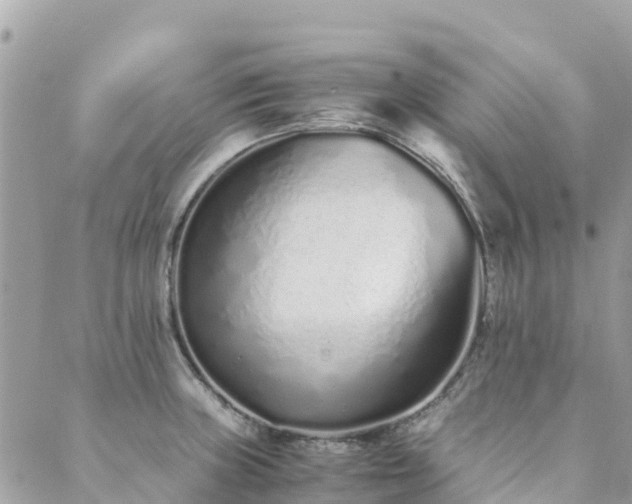 X0000089931235200706291149