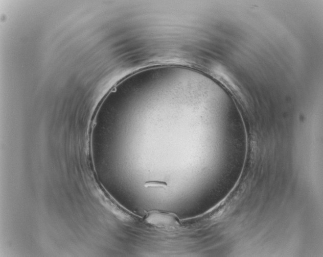 X0000089931236200706291149