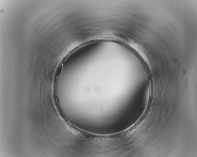 X0000089931237200706291149