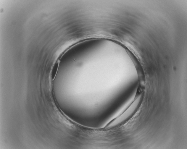 X0000089931238200706291149