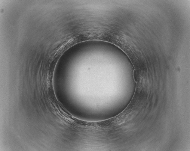 X0000089931250200706291149