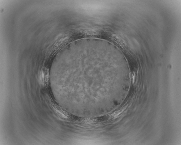 X0000089931251200706291149