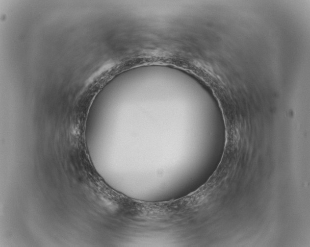 X0000089931254200706291149