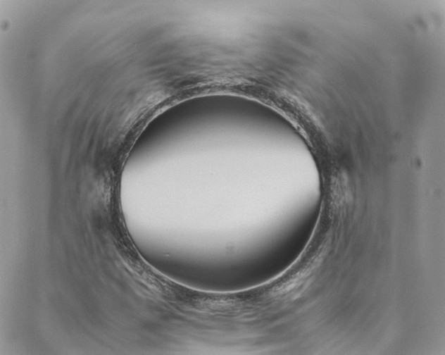 X0000089931257200706291149